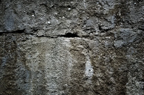 Fond de surface en béton — Photo