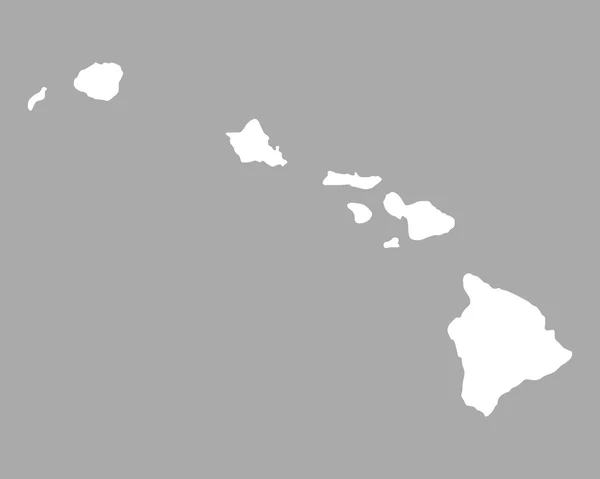 하와이의 정확한 지도 — 스톡 벡터