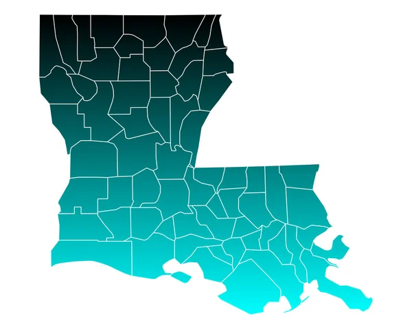 Carte précise de la Louisiane — Image vectorielle