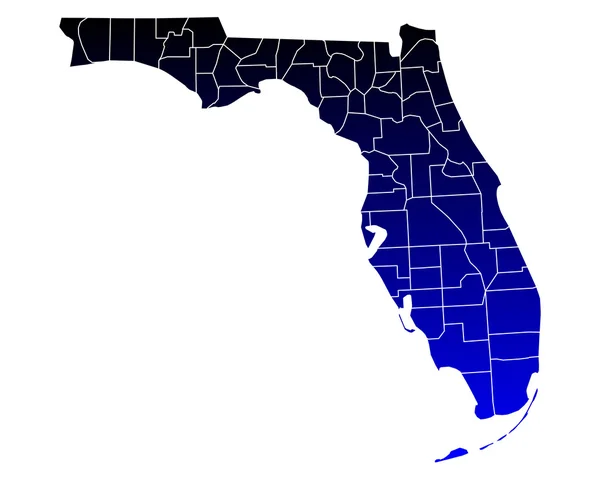 Přesná mapa Florida — Stockový vektor