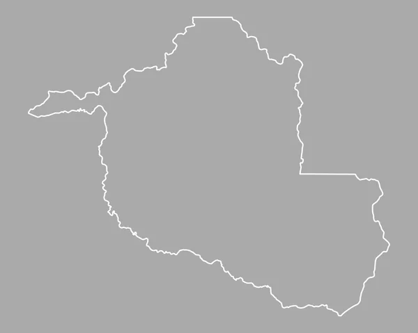 Mapa preciso de Rondonia — Archivo Imágenes Vectoriales