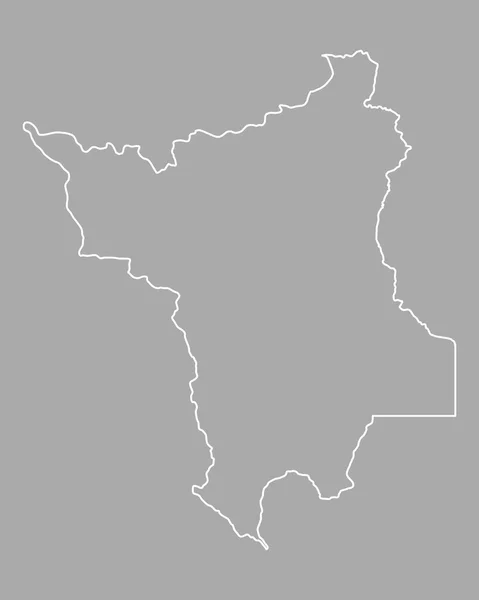 Mapa preciso de Roraima — Archivo Imágenes Vectoriales
