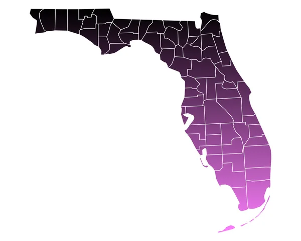 Carte précise de Floride — Image vectorielle