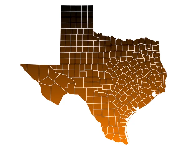 テキサスの正確なマップ — ストックベクタ
