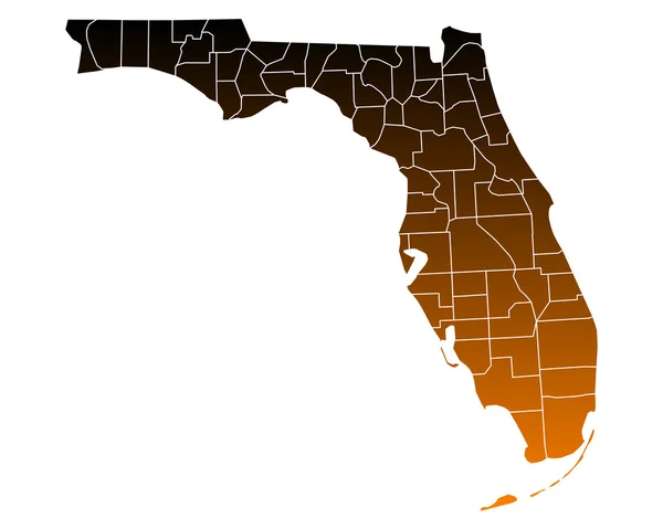 佛罗里达州准确地图 — 图库矢量图片