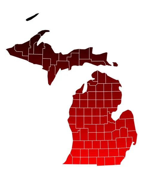 Dokładna mapa Michigan — Wektor stockowy