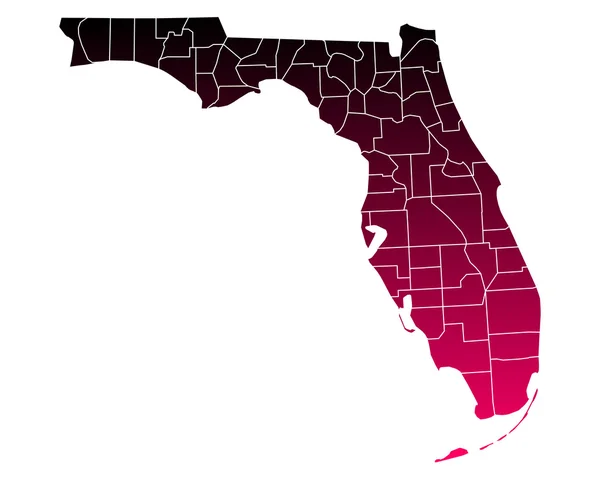 Přesná mapa Florida — Stockový vektor