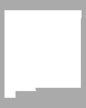 New Mexico Haritası