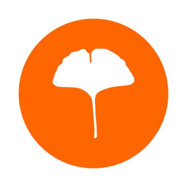 Vektör çizimi olarak Ginkgo yaprağı ve çember