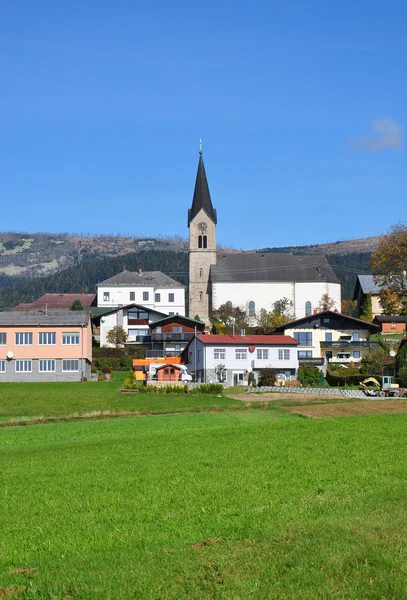 施瓦岑贝格是 Boehmerwald 奥地利 — 图库照片