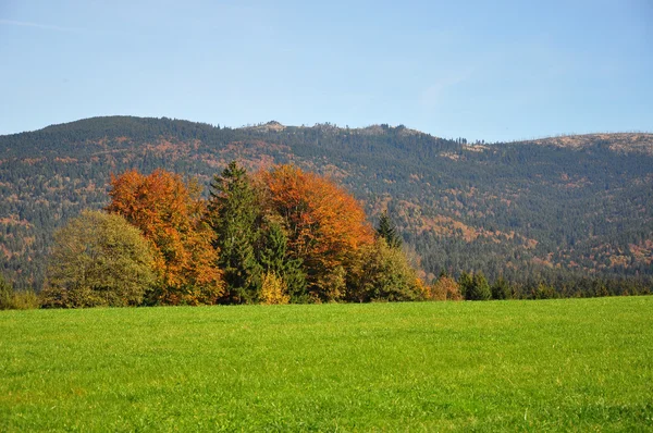 Mountain Dreisessel, Bavaria — Fotografie, imagine de stoc