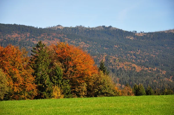 Mountain Dreisessel, Bavaria — Fotografie, imagine de stoc