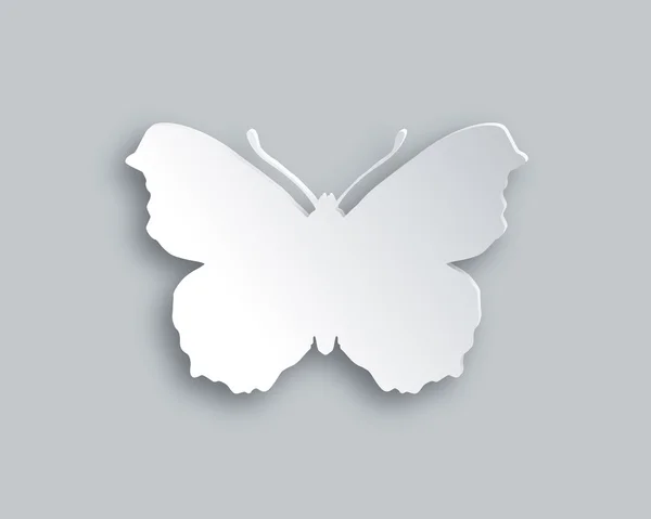 Mariposa blanca — Vector de stock