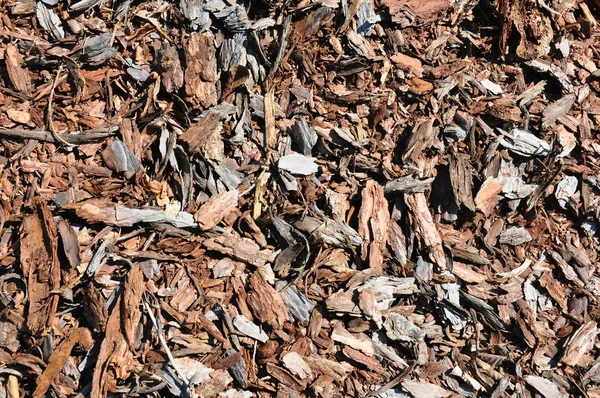 Bark mulch — Stock Photo, Image