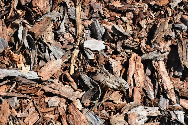 Bark mulch — Stock Photo, Image