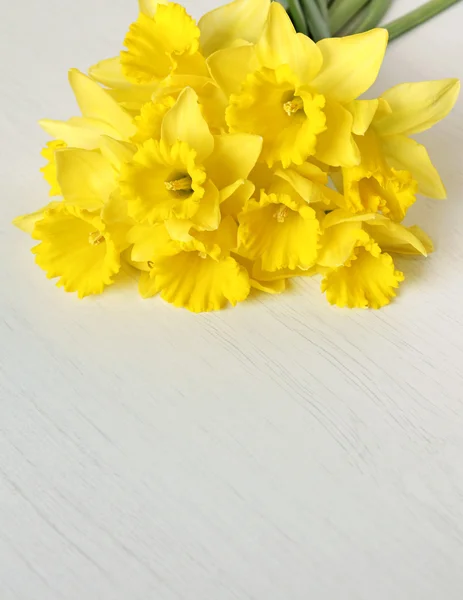 Narciso amarelo no fundo de madeira branco como fundo de primavera — Fotografia de Stock