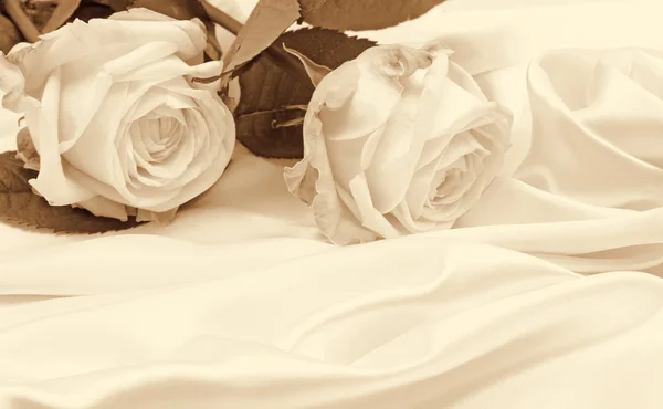 Beautiful white roses on silk as wedding background. In Sepia t Royalty Free Stock Images
