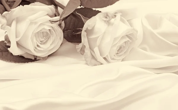 Hermosas rosas blancas sobre seda como fondo de boda. En Sepia t —  Fotos de Stock