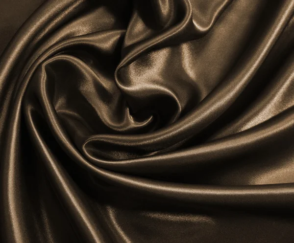 Elegante seta marrone — Foto Stock