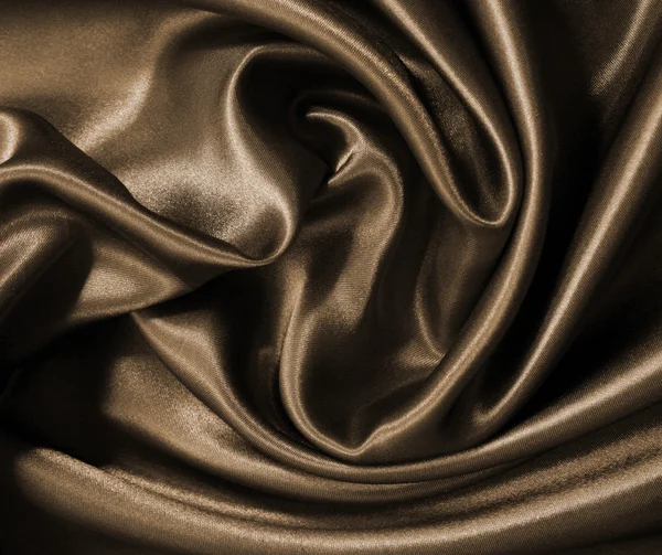 Elegante seta marrone — Foto Stock