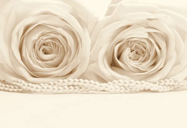 Schöne weiße Rosen in Sepia als Hochzeitshintergrund getönt. weich — Stockfoto