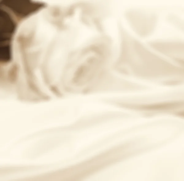 Trandafir alb aproape în stil blur ca fundal. În Sepia tonifiat . — Fotografie, imagine de stoc