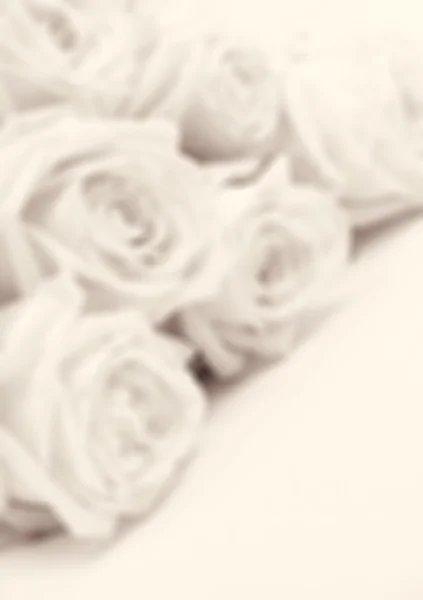 Красивые белые розы, тонированные в сепии в размытом стиле — стоковое фото