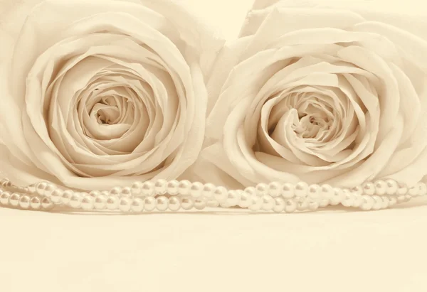 Hermosas rosas blancas tonificadas en sepia como fondo de boda. Suave Imagen de stock