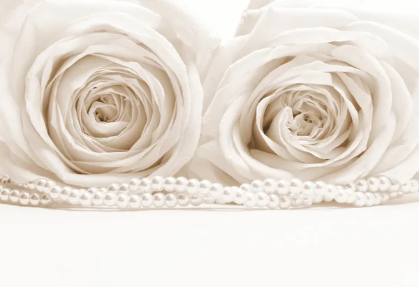 Schöne weiße Rosen in Sepia als Hochzeitshintergrund — Stockfoto