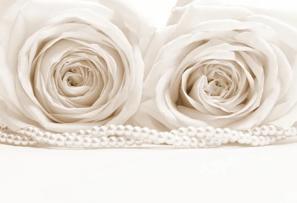 Belas rosas brancas tonificadas em sépia como fundo do casamento Fotografias De Stock Royalty-Free