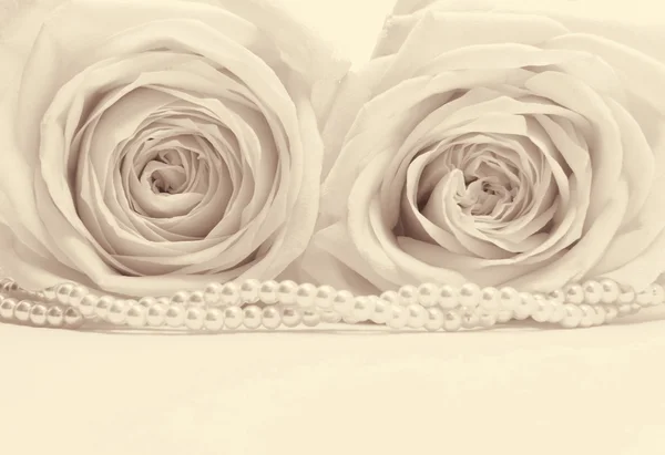 Belles roses blanches tonifiées en sépia comme fond de mariage — Photo