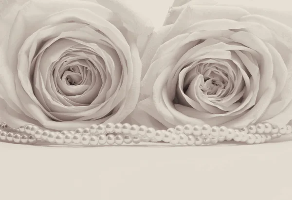 Hermosas rosas blancas tonificadas en sepia como fondo de boda — Foto de Stock