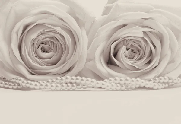 Όμορφα λευκά τριαντάφυλλα ήπια σε σέπια ως φόντο γάμου — Φωτογραφία Αρχείου