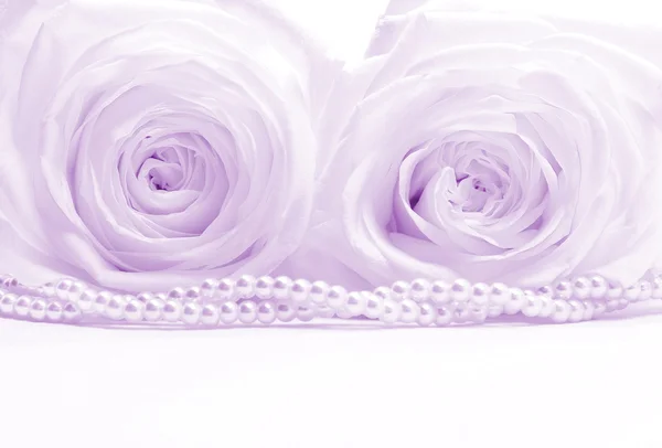 Wunderschöne Rosen mit Perlen als Hochzeitshintergrund. weich f — Stockfoto