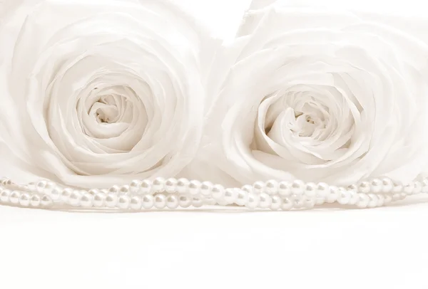 美丽的白色玫瑰在棕褐色作为婚礼背景定了调子。软 — 图库照片