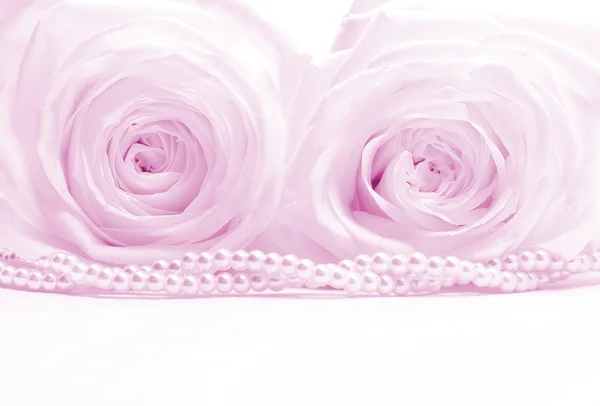 Hermosas rosas tonificadas con perlas como fondo de boda. Suave fo —  Fotos de Stock