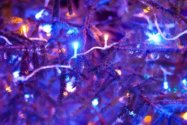 Julgran är upplyst av girland ljus — Stockfoto