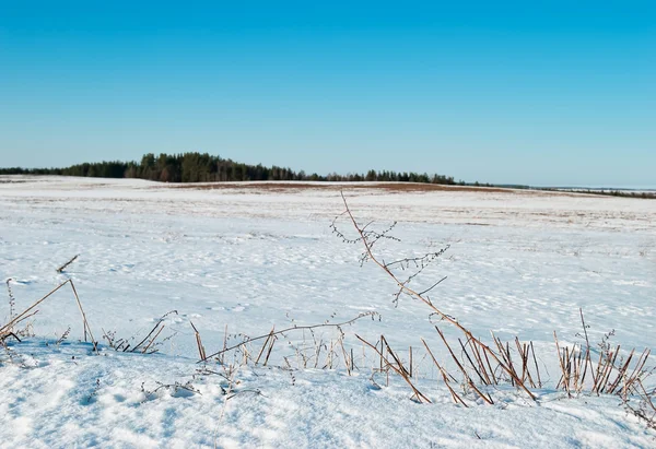 In March on fields snow starts thawing — Stock Photo, Image