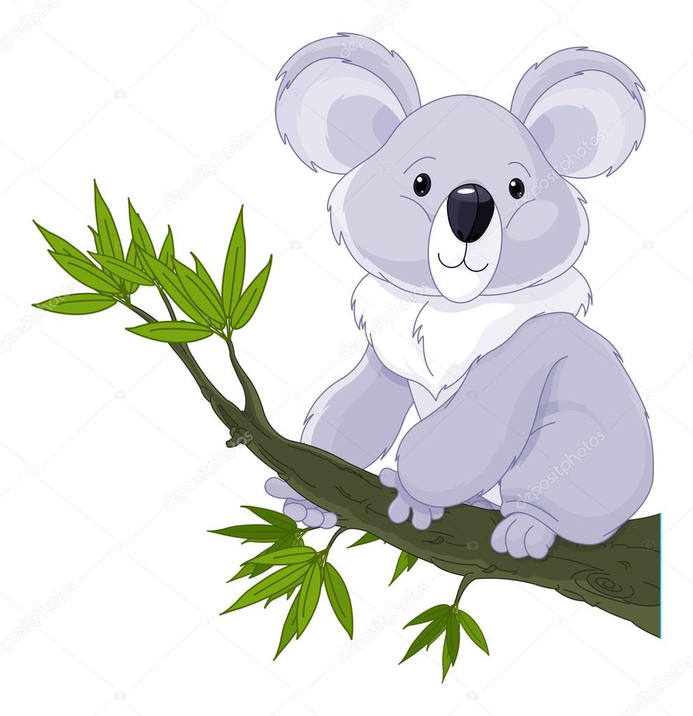 cute koala on tree