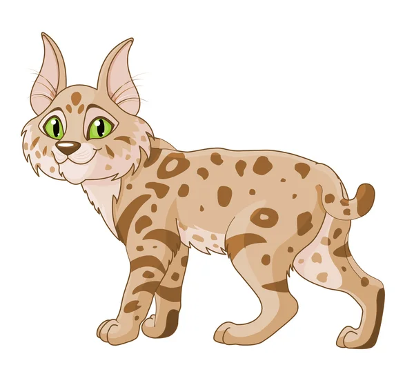 Cute bobcat illustration — Stock Vector