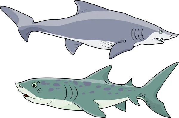 Ilustración Vectorial Dos Tiburones Dibujos Animados — Vector de stock