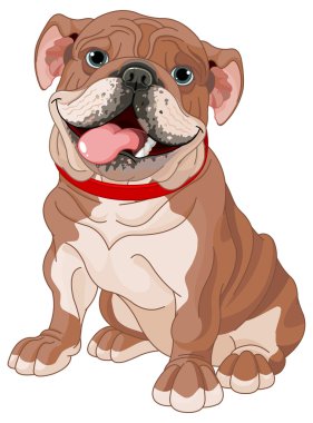 İngilizce Bulldog