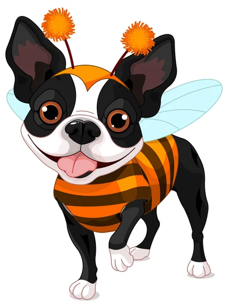 Boston terrier dressed-up like bee — Stock Vector