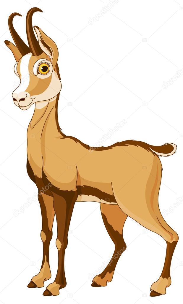 Cartoon Chamois Vector Image By C Dazdraperma Vector Stock Cartoon Chamois Vector Image By C Dazdraperma Vector Stock