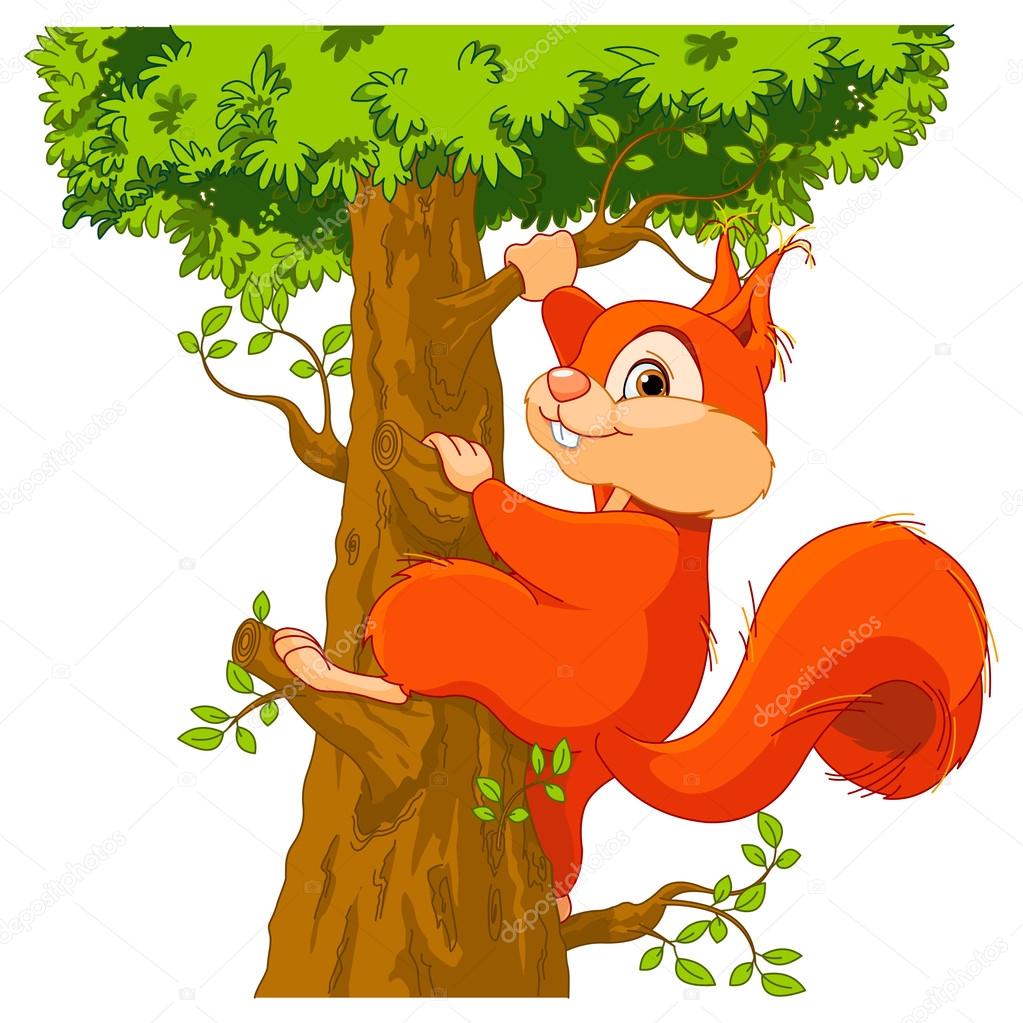 Cute squirrel climbs a tree