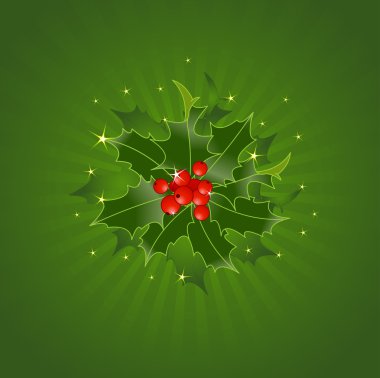 Noel Holly Yeşil Arkaplanda