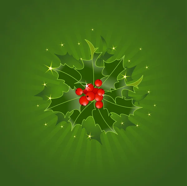 Christmas Holly auf grünem Hintergrund — Stockvektor