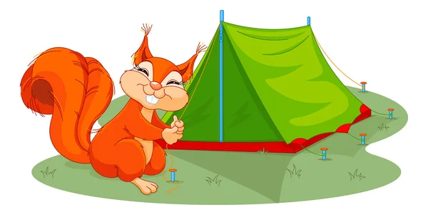 Funny squirrel sets tent — Stock Vector