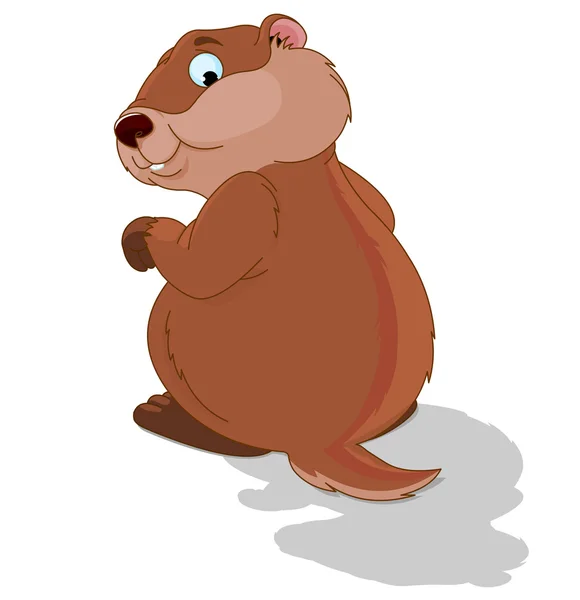 Cute groundhog — Stock Vector