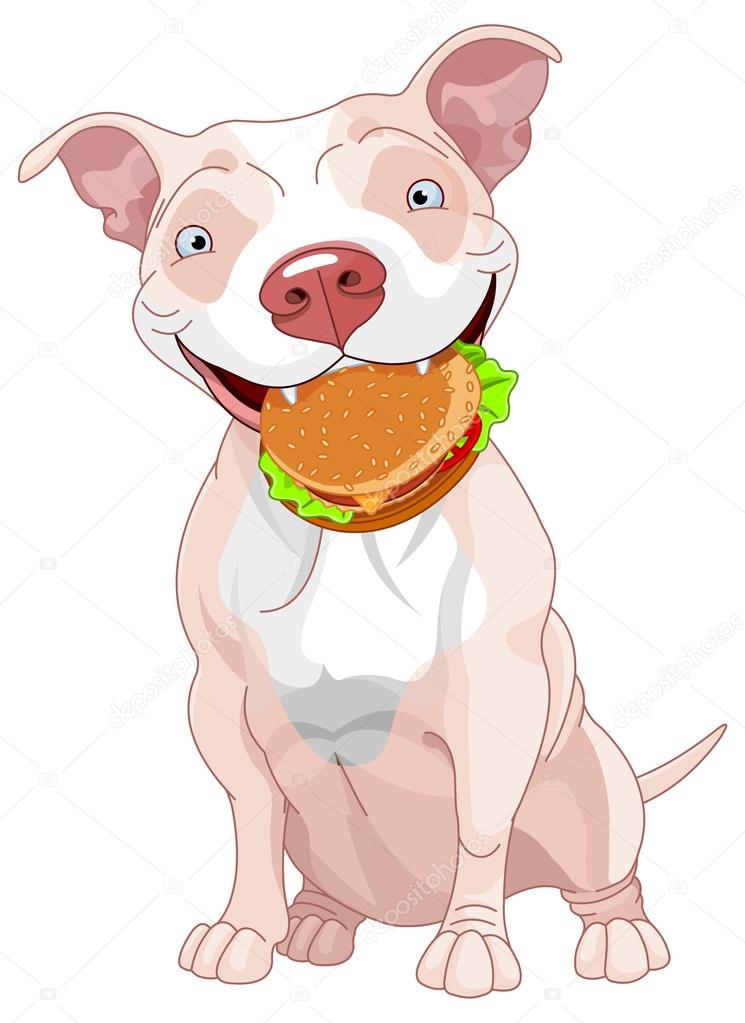 Pit Bull Dog Eats Hamburger